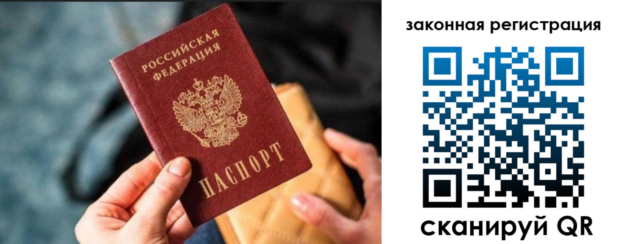 найти адрес прописки в Заполярном